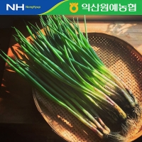 [농협] 한아름드린 신선 흙쪽파 2kg/4kg(특)