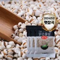 [대숲맑은물애] 24년산 의이인 율무 1kg~5kg