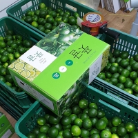 제주도 프리미엄 청귤(푸)