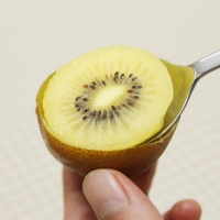 [만원의 행복] 산지직송 국내산 골드키위 골드참다래 2kg