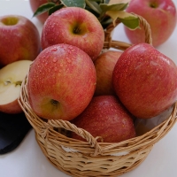 [만원의 행복][사과최고] 달콤아삭 부사 사과 가정용 소과 중과 대과 혼합 