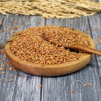 (25년산) 홍성농부의 찰홍미 1kg 직접도정