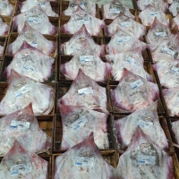 [오리지날] 흑산도 홍어 국내산 홍어 암치 250g 500g 1kg 숙성도 택 1