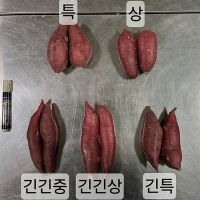 영암 명품 토울고구마