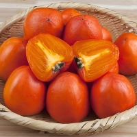 [김장철] 달콤하고 부드러운 과육가득 청도반시(푸)