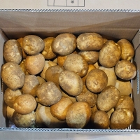 부드럽고 달달한 맛 두백감자(푸)
