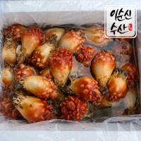 생산자 직판 통영 활멍게 10kg [ 업소용 벌크] 냉동 깐 멍게 800g x 5팩,12팩,17팩 [업소용]