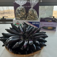 [여주 특산물] 대왕님표 여주 건 가지(200g/600g)