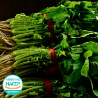 [김장철] 시원하고 아삭한 식감의 열무김치 & 열무물김치(푸)