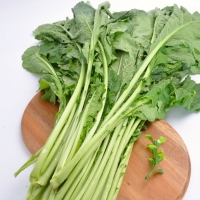 [농협] 한아름드린 신선 청갓 4kg/8kg(특)