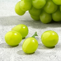 [농협] 한아름드린 샤인머스캣 선물세트 4kg내외(특5-6수)