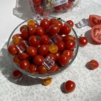 [만원의 행복][토마캄스] 대추 방울 토마토 2kg 3kg 5kg 중대과 로열과 혼합