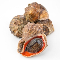 [품질보장]이순신수산 통영 뿔소라 중 1kg [8-10미]