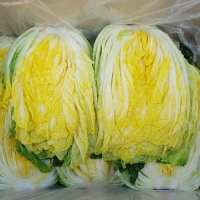 [예약배송] [HACCP 해남] 절임배추 절임배추 20kg