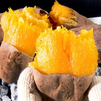 [자연속애] 안면도 호박고구마 3kg/5kg/7kg/10kg (대300-400g내)