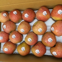 고당도 프리미엄  엔비사과(푸)