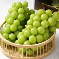 아삭한  식감  국내산  샤인머스켓 (1kg/2kg)