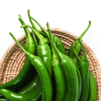 [농협] 한아름드린 신선 오이고추 1kg/2kg/4kg(특)