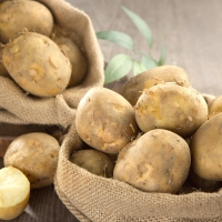 [농협] 한아름드린 감자/양파 반반혼합 3kg/6kg/10kg(특)