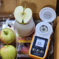 [신한카드 할인]  아삭하고 상큼한맛  미니사과 루비에스  