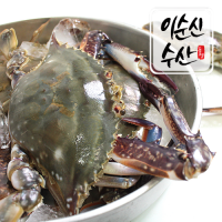 [보름데이] 국내산 서해안 제철 생물 활꽃게 암수랜덤 2kg