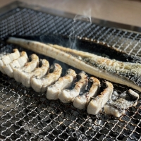 [고창출발] 풍천장어 100% 품질보증 기운센 불끈불끈 전북 고창 민물장어 1KG (손질전)