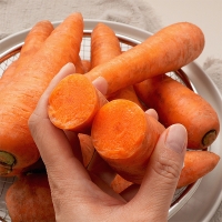 제주도 최상급 구좌당근(푸)