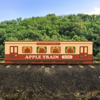 애플트레인 충북 음성 고당도 프리미엄 로얄 부사 정품  보통/중/상  3kg  상중 5kg