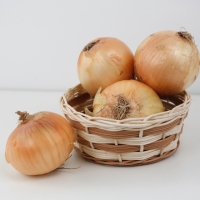 산지직송 국내산 창녕 고령 단단한 햇양파  중 대 특 1kg 2kg 3kg 