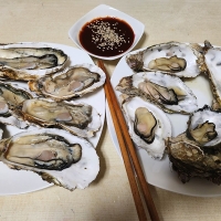 [만원의 행복] 신선함을 그대로 여수 석화(푸)