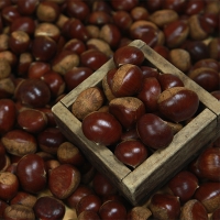 [신한카드 할인]  제철 가장 맛있는 국내산  햇 밤