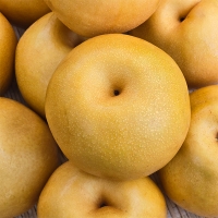 [신한카드 할인]  시원하고 달콤한 가정용 햇배