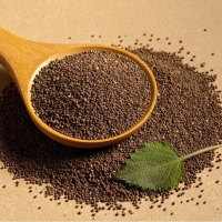  [문경현대방앗간]100%국산 들깨가루 220g 