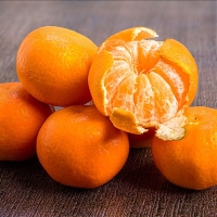 [농협] 한아름드린 제주 노지감귤 2kg/3kg/5kg (사이즈L)