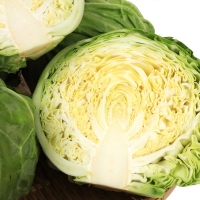 [농협] 한아름드린 신선 양배추 1통/2통(특/통당1kg내외)