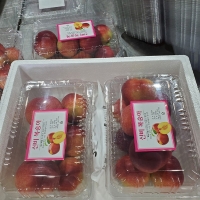 달콤한 과즙 고당도 신비복숭아(푸)