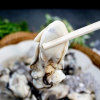 [깐굴브팜] 고품질 통영 생굴 깐굴 1kg 2kg 3kg 중굴 위주 얼음 포장