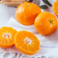 [농협] 한아름드린 제주 노지감귤 2kg/3kg/5kg (사이즈L)