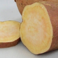 [고구브팜] 호박고구마 촉촉 달콤 호구마 2kg 5kg 10kg