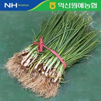 [농협] 한아름드린 신선 흙쪽파 2kg/4kg(특)