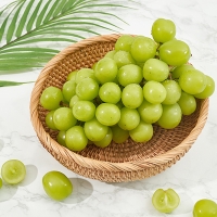 [농협공판장] 정성드린 샤인머스캣 2kg내와(특3-4수) 에어백포장