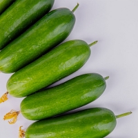 [한입최고] 대세 미니오이 500g 1kg 2kg 아삭한 오이
