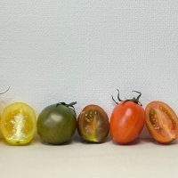 저칼로리 간식 컬러 방울토마토