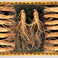  [名品] 금산인삼 선물용 포장 수삼세트(1000g)(24~28뿌리)