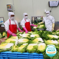 [예약배송] [농협] 한아름드린 해남 절임배추 20kg(6-9포기) / 도착일지정