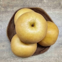 [김장철] 달콤함이 꽉 찬 가을 신고배 (3kg/5kg)