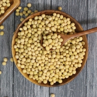 (25년산) 홍성농부의 백태 1kg 메주콩 노란콩 대두