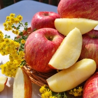 [산지직송] 경북 부사_고당도_산사과 [1kg-5kg]