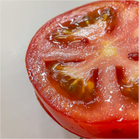 [만원의 행복] [토마디어] 찰진 완숙토마토 1kg 2kg 3kg 5kg 빨간 토마토