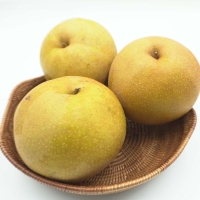 [김장철] 세계가  인정한  맛의  기준  상주  만풍배  2.5kg/5kg